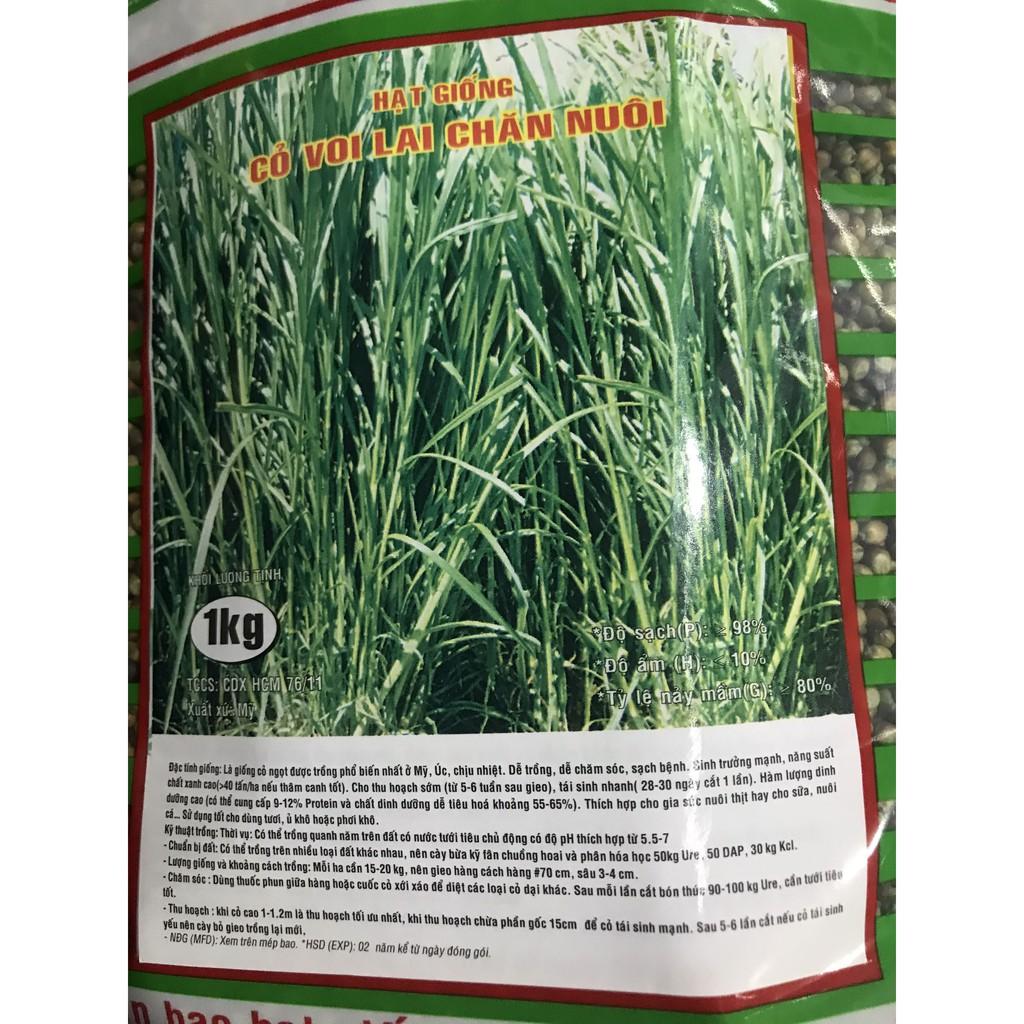 HẠT GIỐNG CỎ VOI LAI- cỏ chăn nuôi gói 1kg