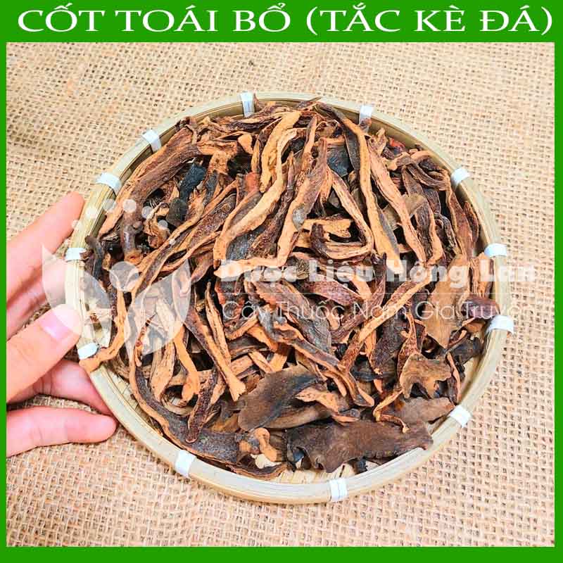 Tắc Kè Đá (Cốt Toái Bổ) khô 1kg