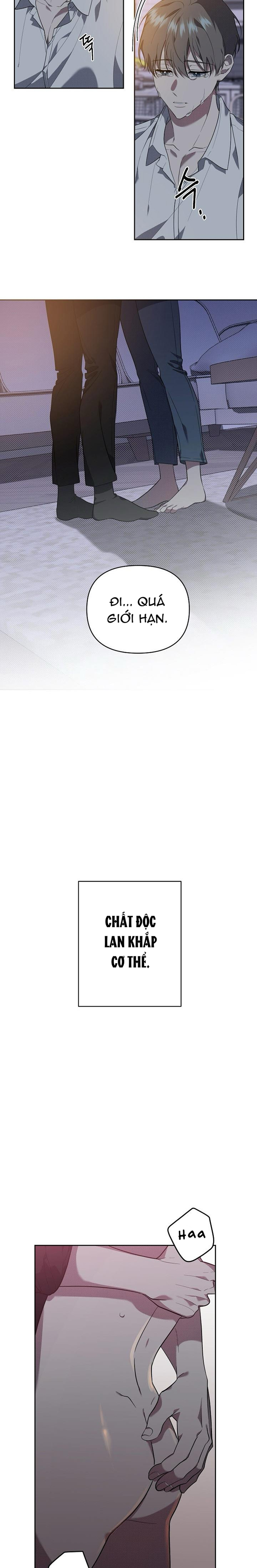 marigold dilemma chapter 2 15