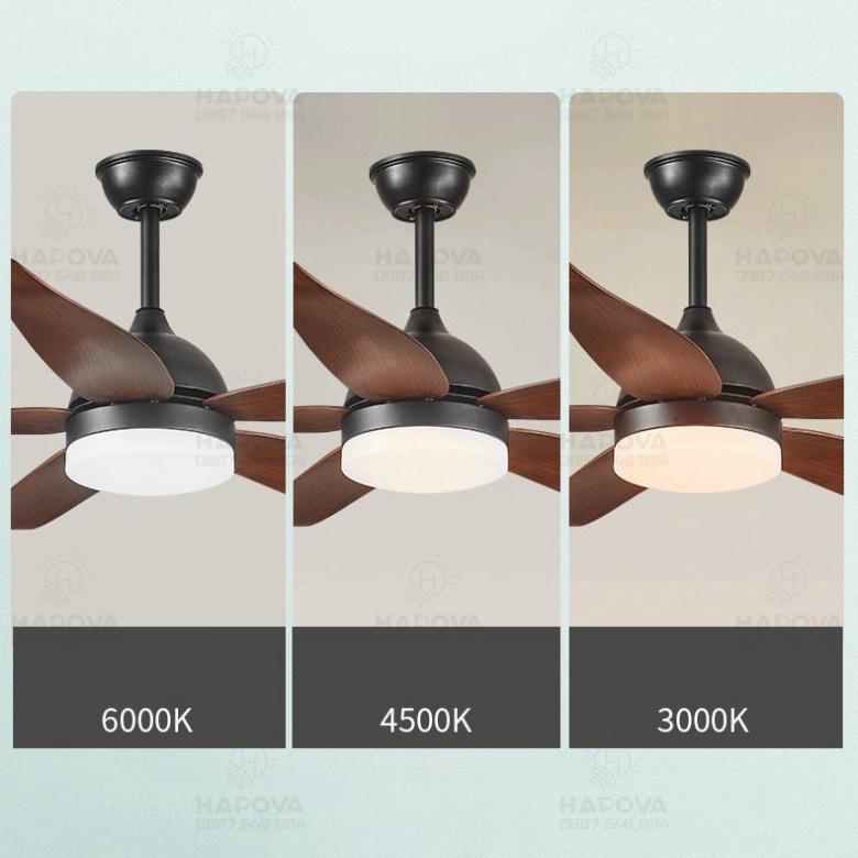 Quạt trần đèn chùm, đèn trần phòng tiếp khách 5 cánh gỗ HAPOVA DQ 8075