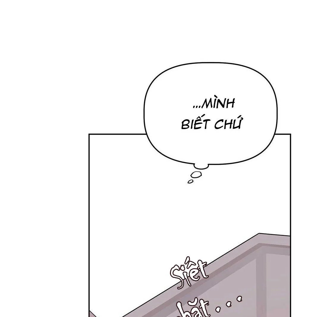 guide cấp b chapter 13 73