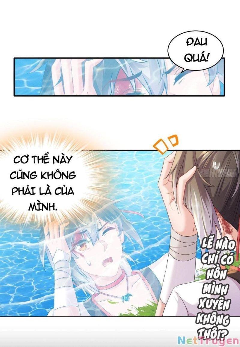 tuyệt sắc đạo lữ đều nói ngô hoàng có thể chất vô địch chapter 1 19