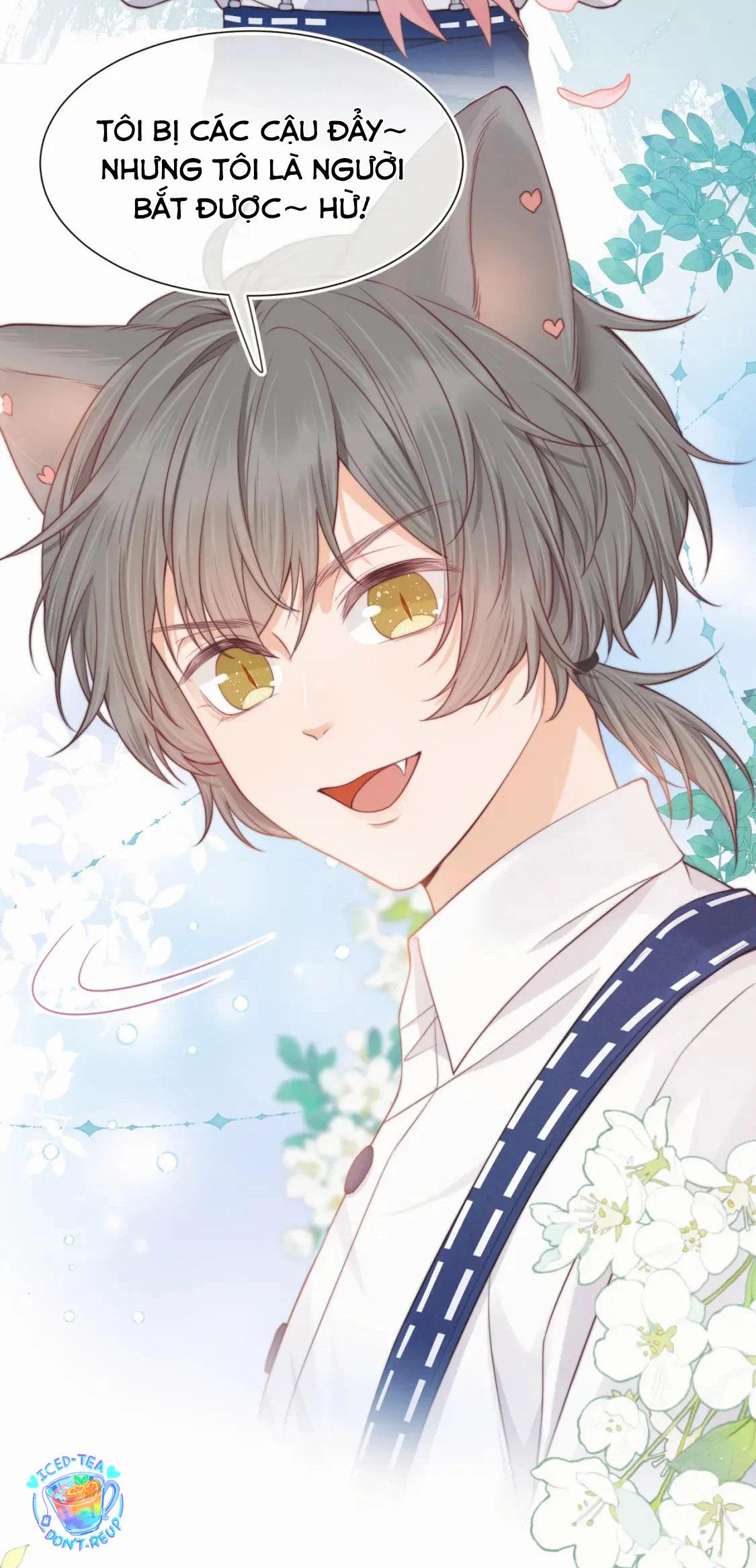 [ss2] một ngụm ăn cả thỏ con chapter 35 39