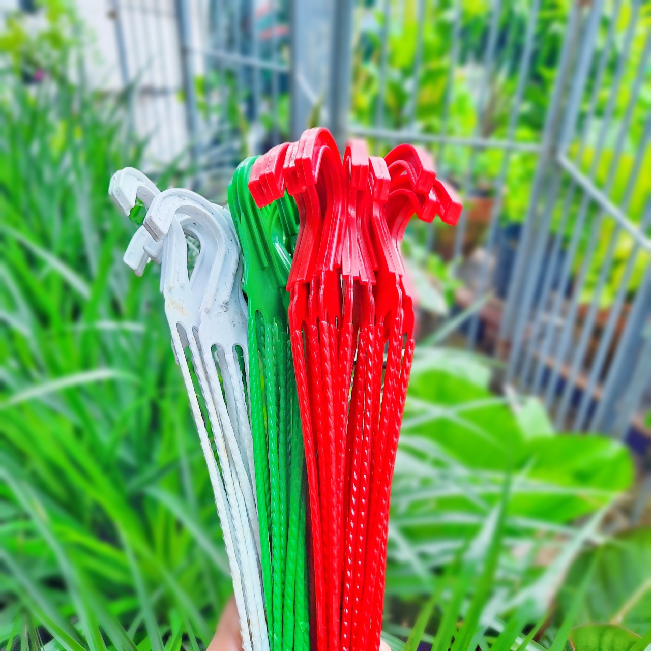 Chậu Nhựa TREO 2 size xinh xắn