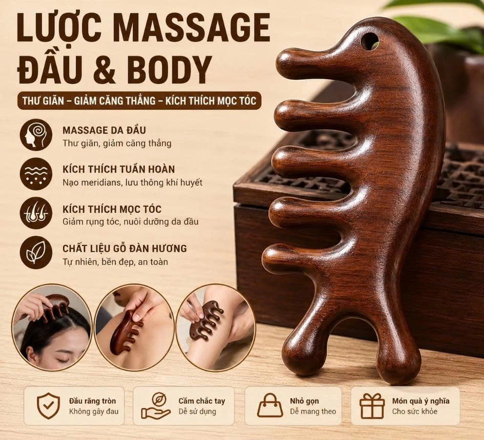 Lược Gỗ Đàn Hương Đầu Cá Heo Massage Kinh Tuyến, Da Đầu - Hàng Chính Hãng LƯỢC BĂNG ĐÔ