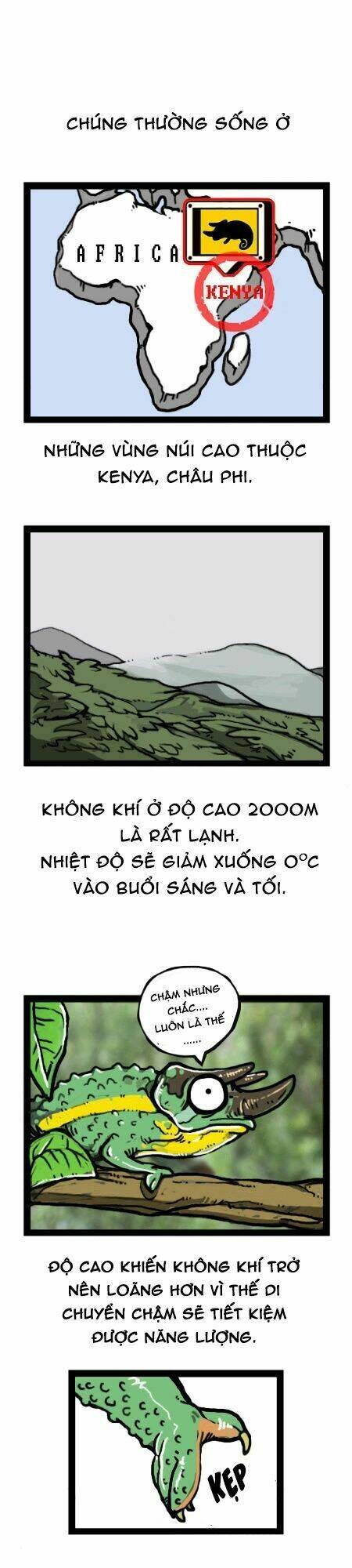 earth, human, and animal chapter 19 12