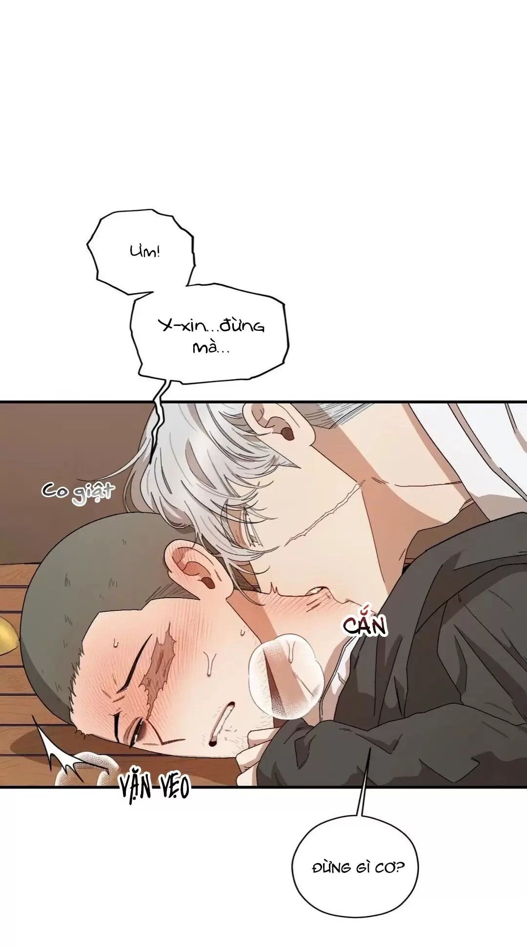 liveta chapter 24 26