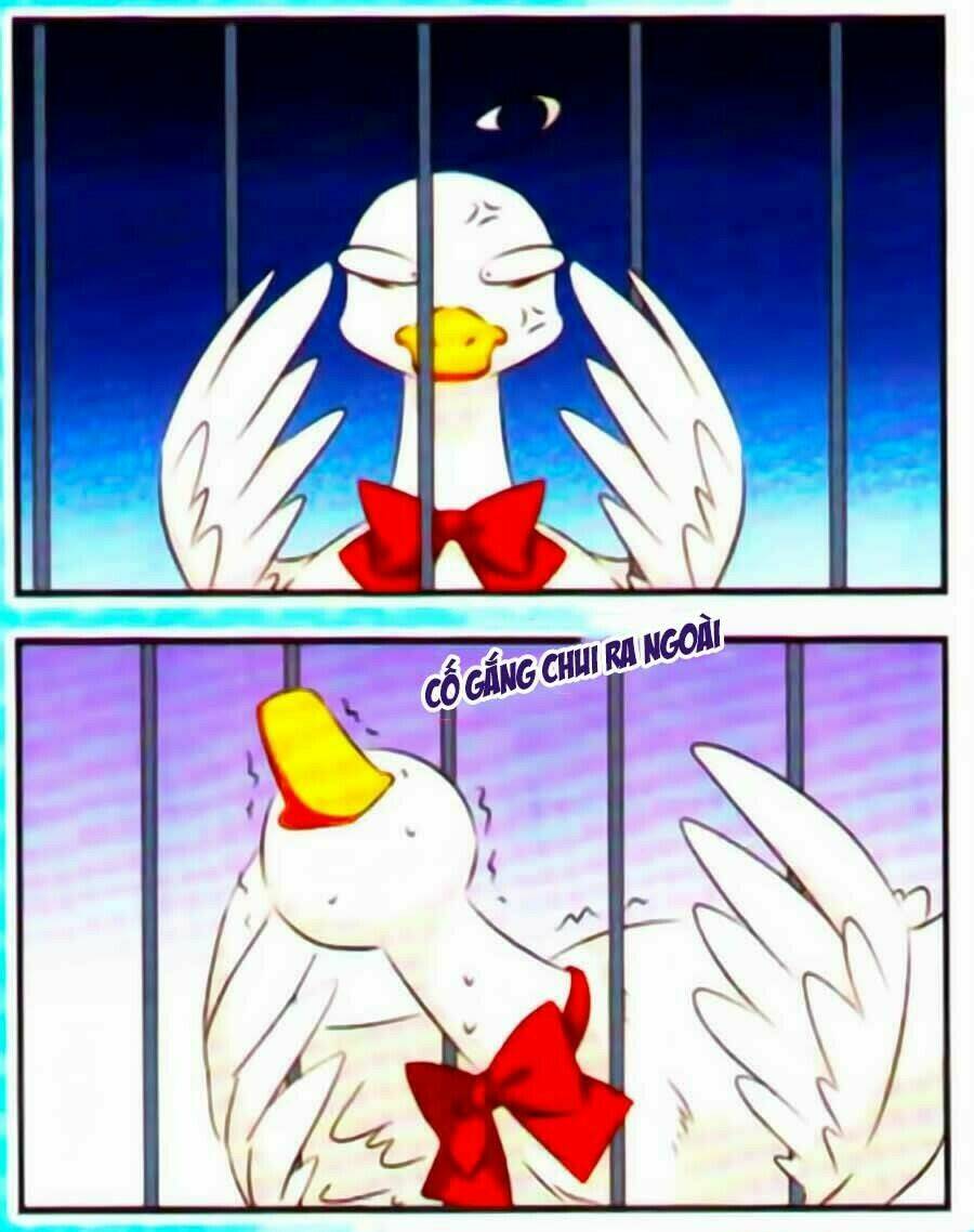 manh tam quốc chapter 91 14