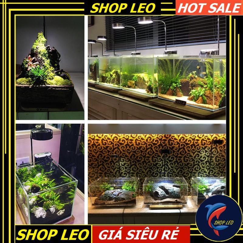 Đèn Led đế gỗ BamBoo 3W - Phụ kiện thủy sinh - shopleo