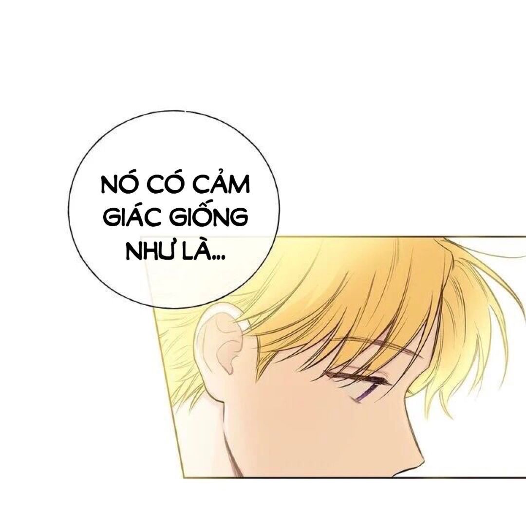 invitation of mystic messenger chapter 5 43