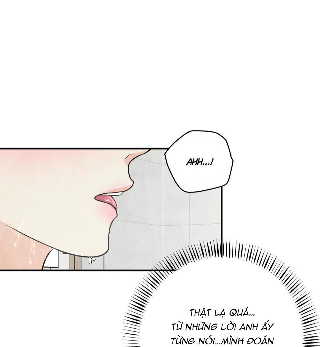 hạnh phúc trọn vẹn chapter 24 18