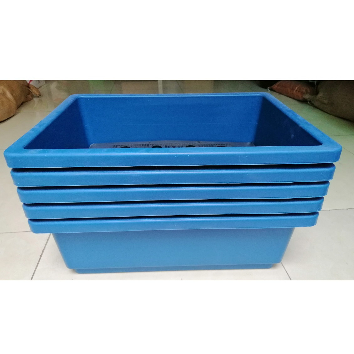 5 KHAY NHỰA TRỒNG RAU KÍCH THƯỚC 47X33X16CM - MÀU XANH