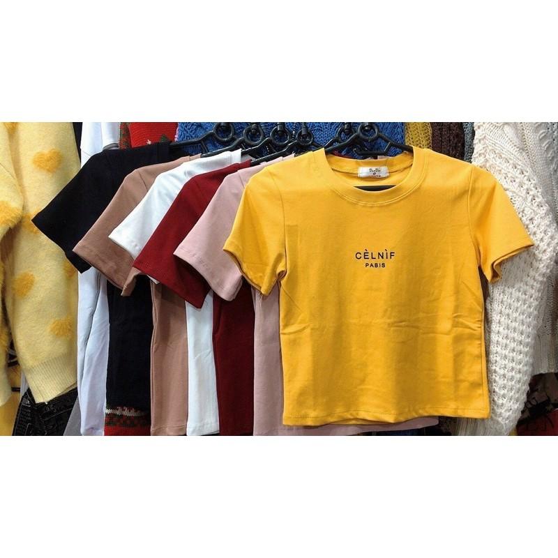 Áo thun croptop chất đẹp