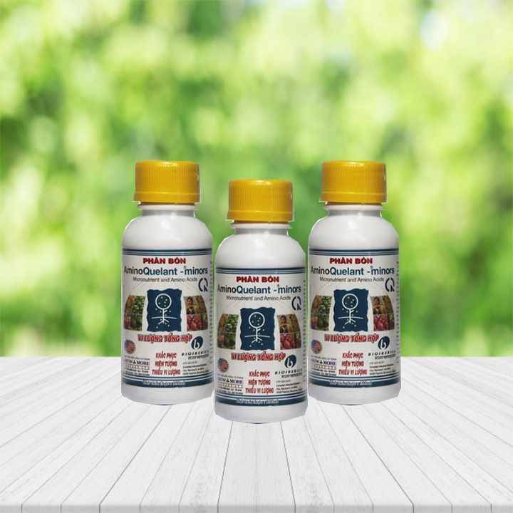 Combo 3 chai phân bón Amino minor (100ml/chai) - cung cấp đủ vi lượng cho cây hoa lan, ăn trái, bonsai, các loại hoa