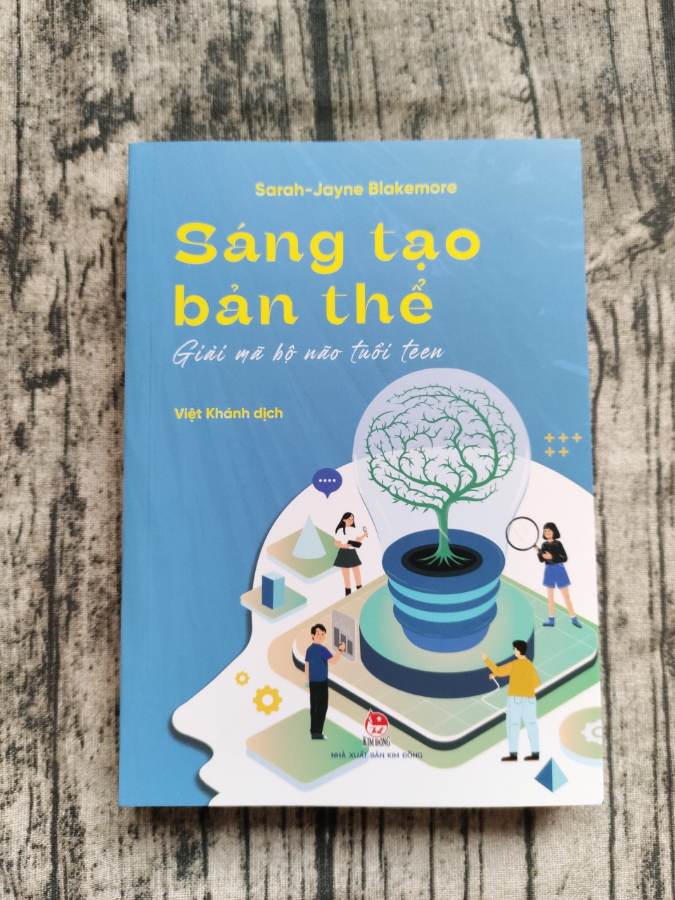 Sáng Tạo Bản Thể - Giải Mã Bộ Não Tuổi Teen