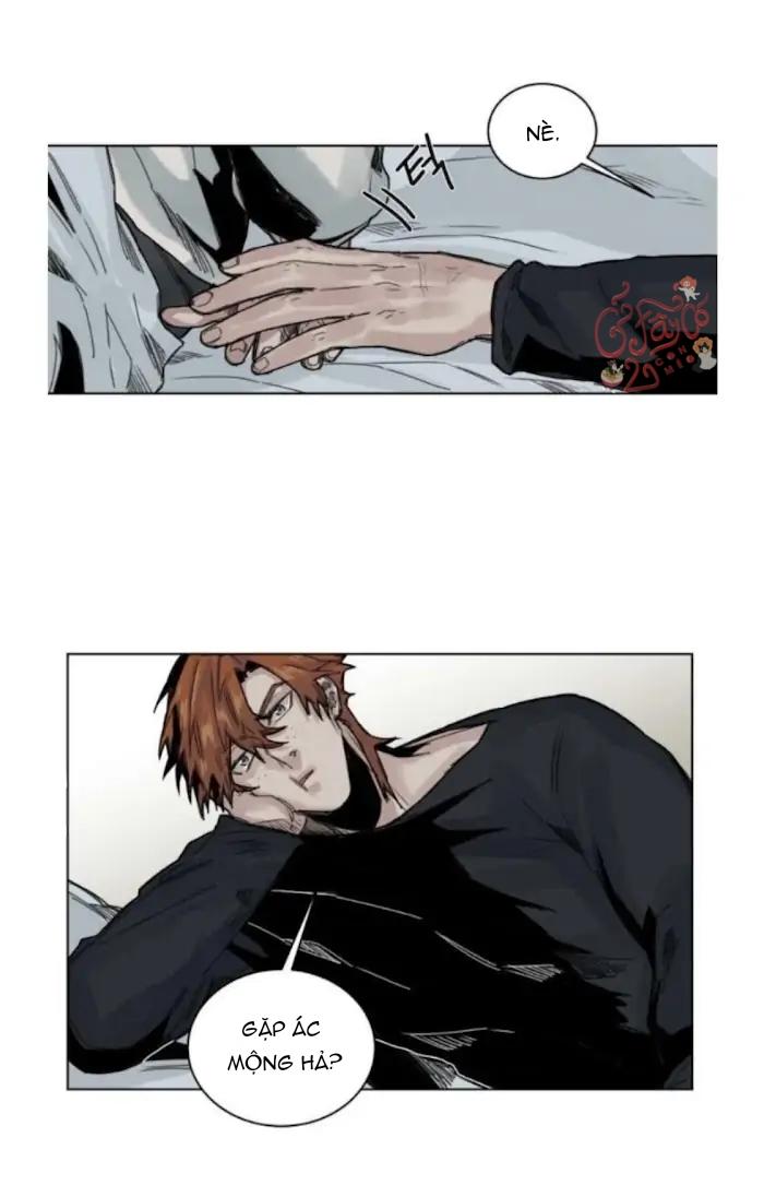 ánh nhìn của quạ chapter 42 5