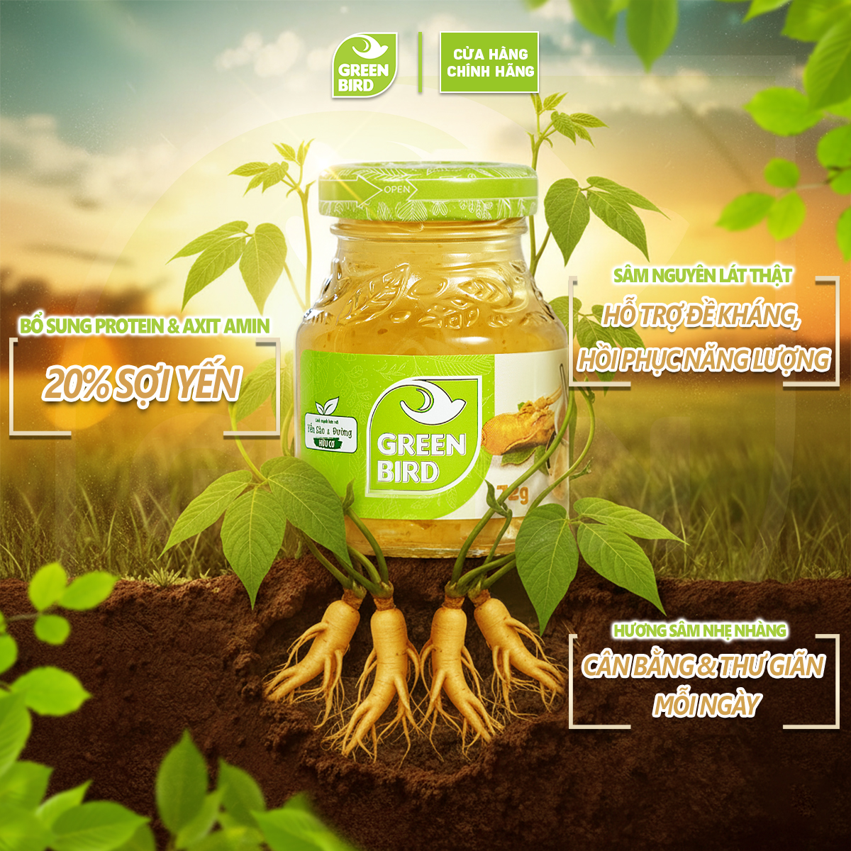 Nước Yến Và Sâm Lát Green Bird Tăng Sức Đề Kháng Hũ 72g