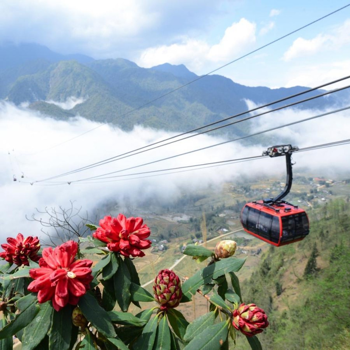 Tour Sapa 2N1Đ: Hà Nội - Sapa - Cát Cát (Hoặc KDL Hàm Rồng) - Fansipan - Hà Nội, Khởi Hành Hàng Ngày