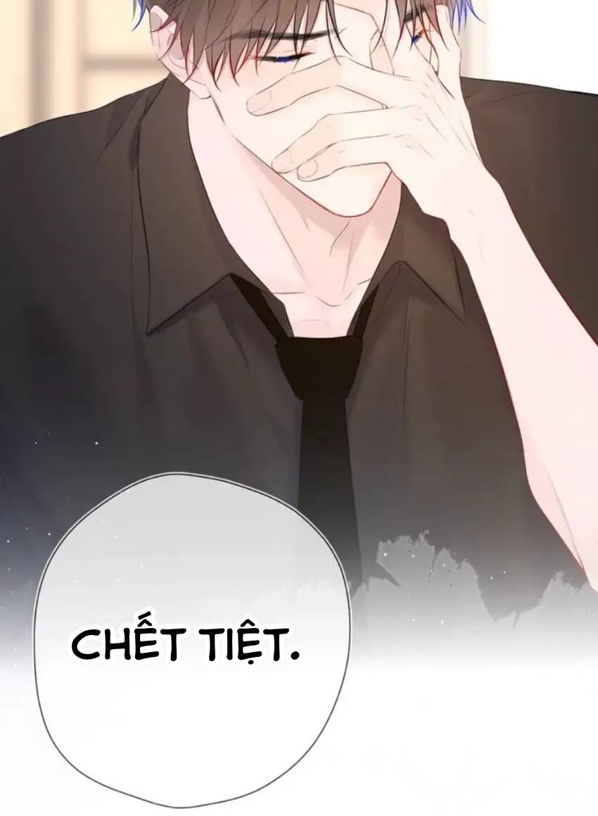 vì sao của tôi chapter 131 51