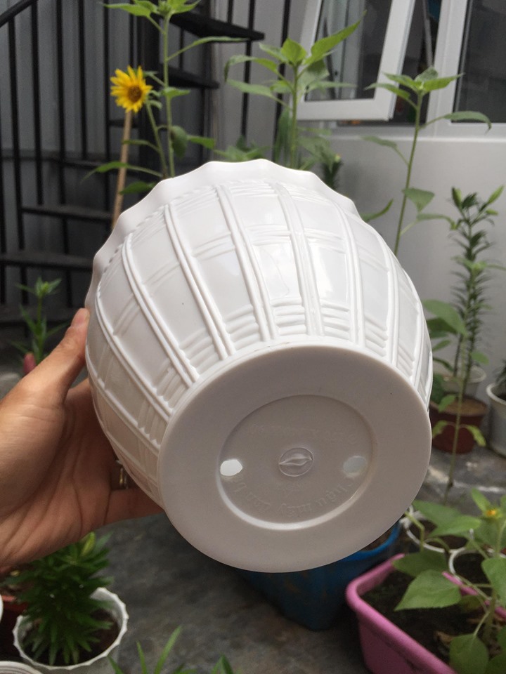 Chậu nhựa tròn bầu giả mây đan 17cm