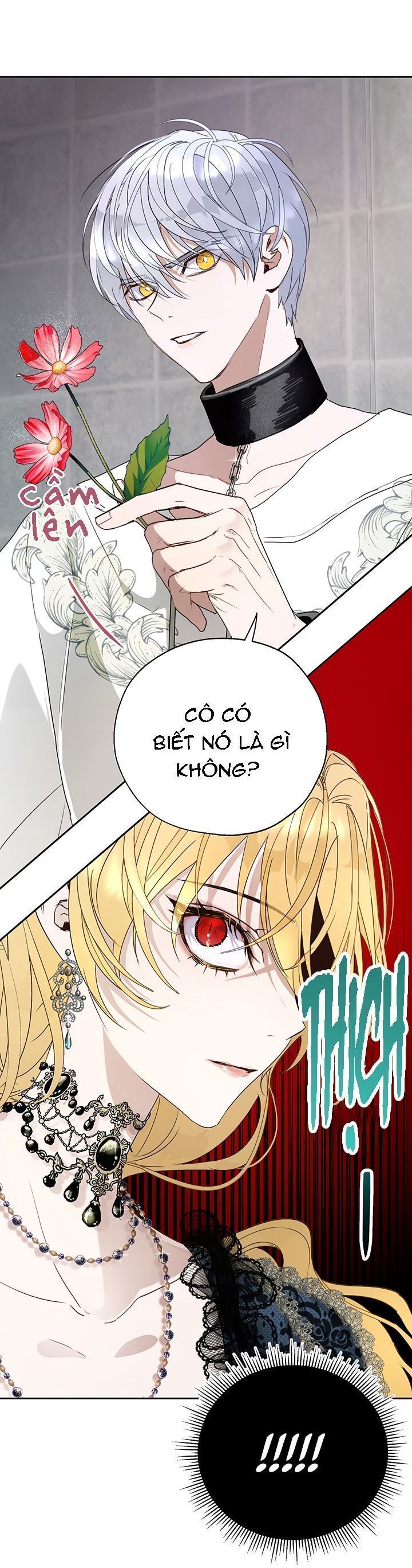 cách để cứu rỗi anh trai của nữ chính chapter 19 59