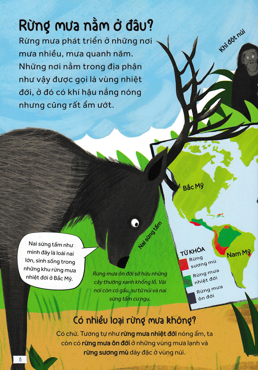 Những Câu Hỏi Tò Mò Và Giải Đáp Thú Vị Về Rừng Mưa _HH
