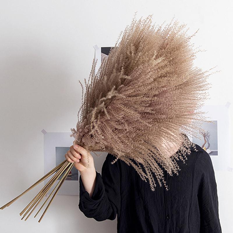 30 Chiếc Pampas Cỏ Hoa Khô Tự Nhiên Dekoration Sậy Phragmites Chùm Communis Trang Trí Mộc Tặc Đánh Lagurus Ovatus
