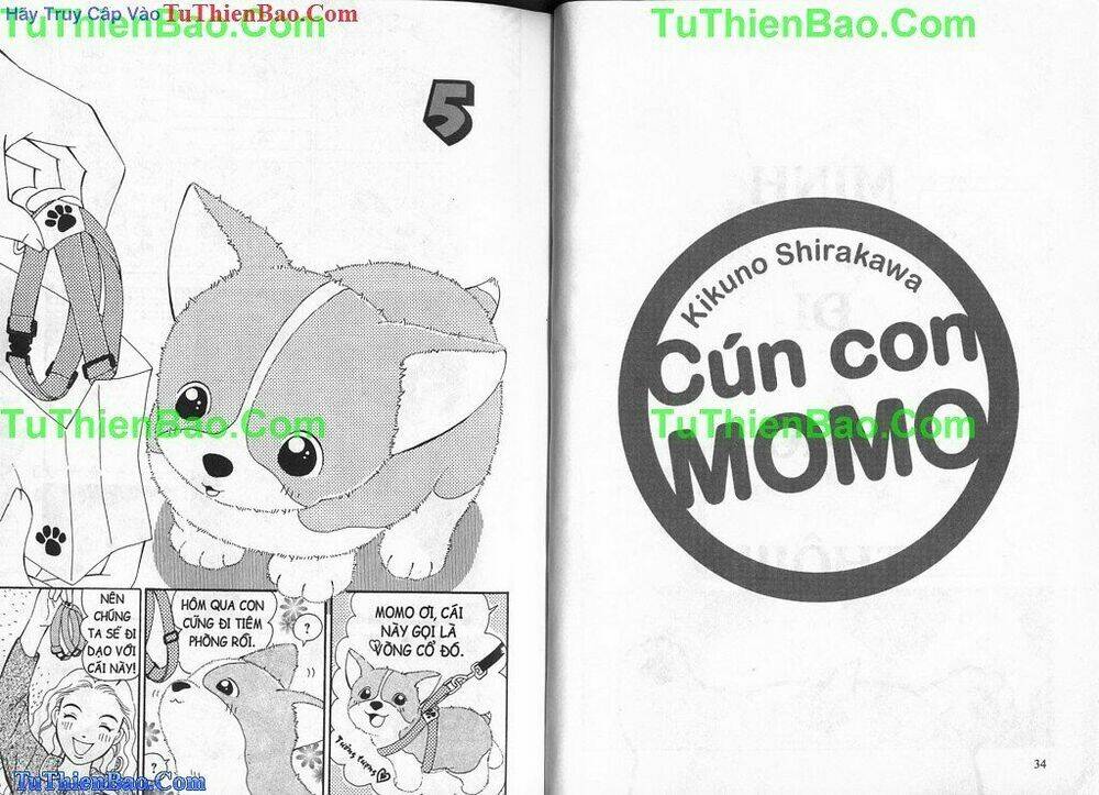 chó con mo mo chapter 2 18