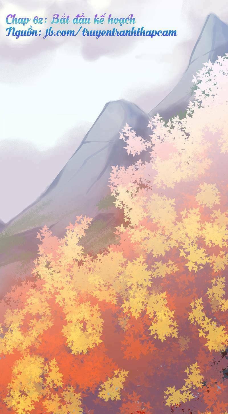 chọc tới chủ tịch tổng tài 2 chapter 62 1