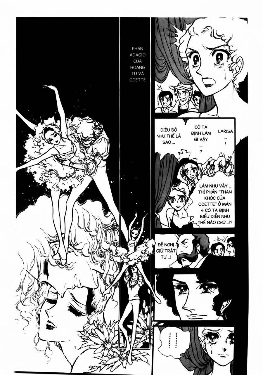 swan - vũ khúc thiên nga chapter 45 10