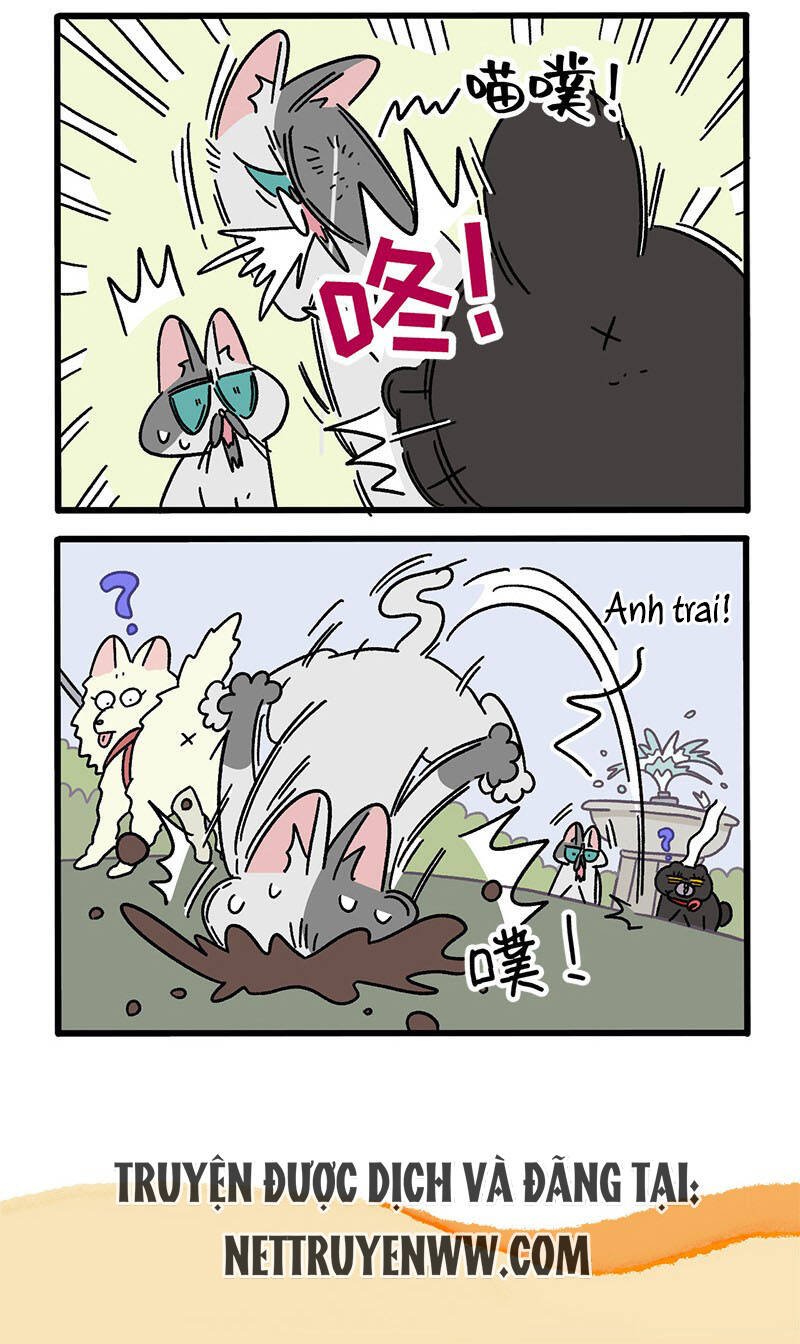 a mãn và mạch trà chapter 40 6