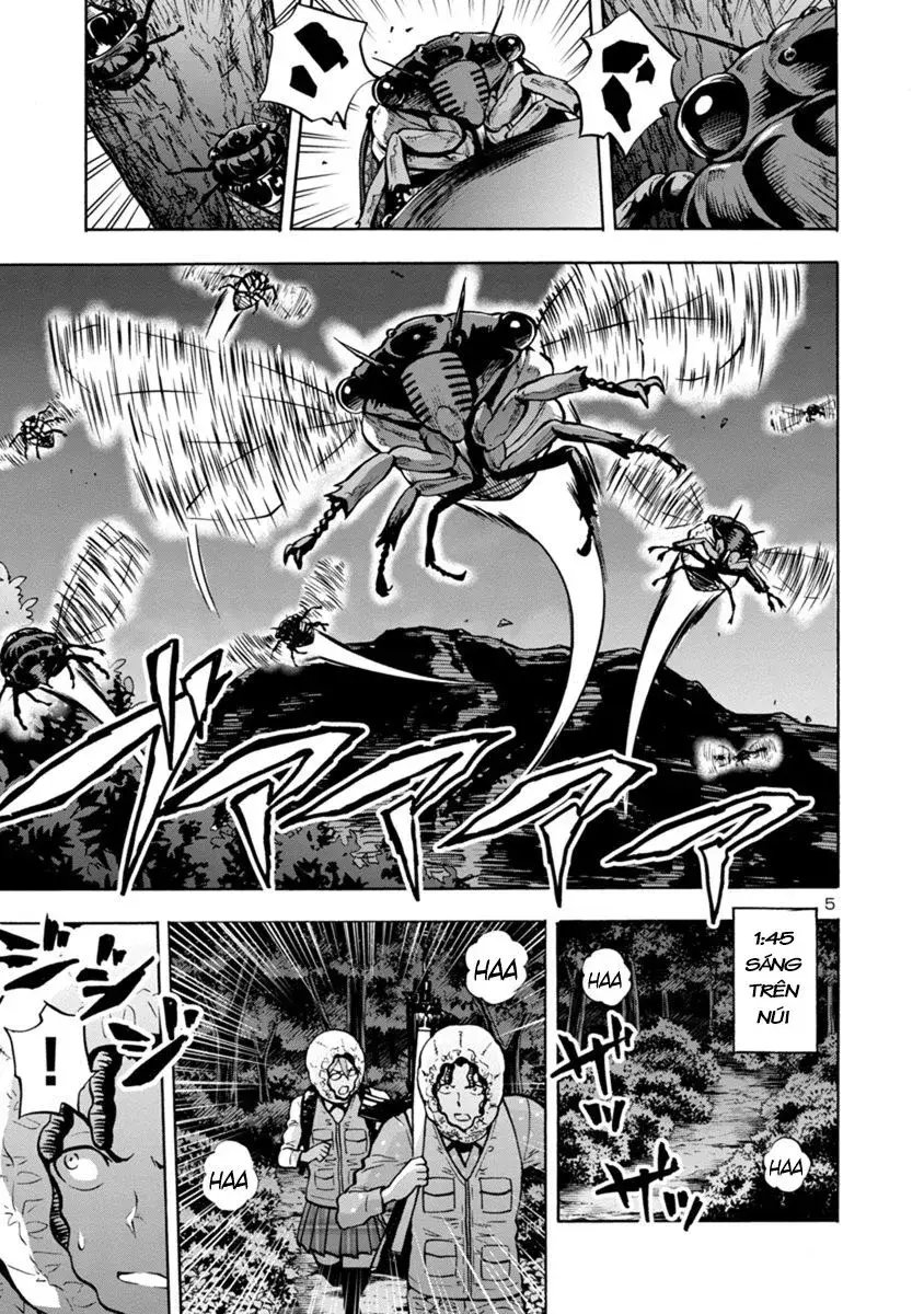 Siêu Đảo Côn Trùng chapter 9.1 5