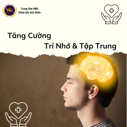 Khóa Học Video Online Chăm Sóc Não Bằng Huyệt Đạo Cho Người Làm Sáng Tạo Nội Dung Số - Trung Tâm Chăm Sóc Sức Khỏe VMC