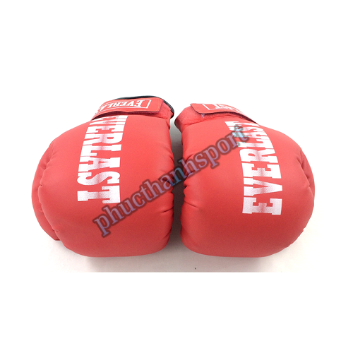 Găng đấm boxing Everlast 8oz