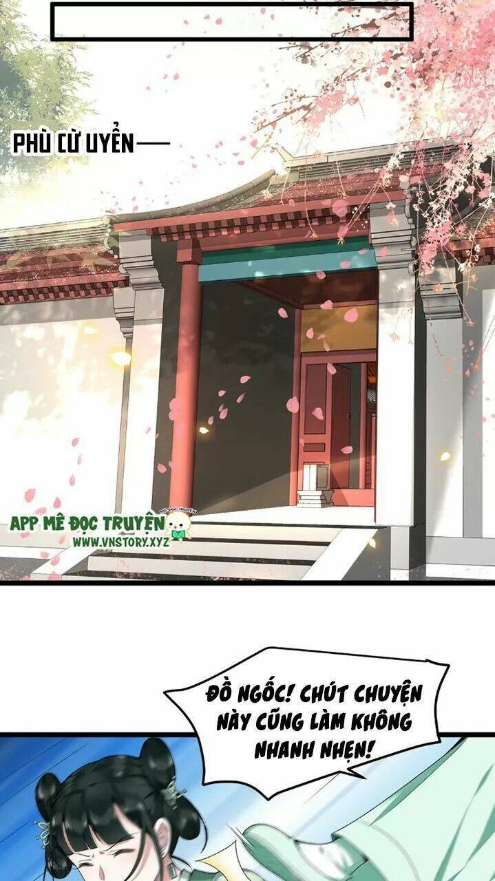 phượng hoàng vu phi chapter 47 5