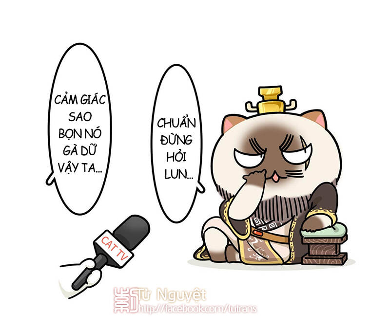 nếu lịch sử là một bầy mèo chapter 25 30