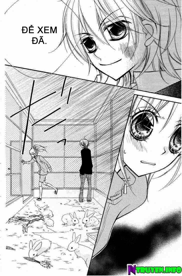 chocolate chapter 4 31