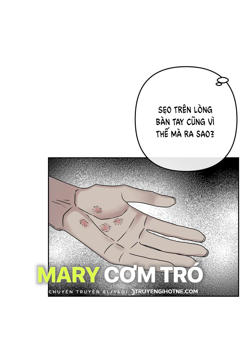 đóa hoa batavia của tôi chapter 4.1 23