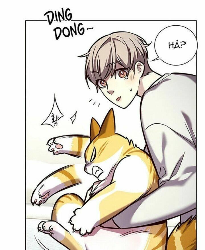 biến thân thành mèo chapter 200 25