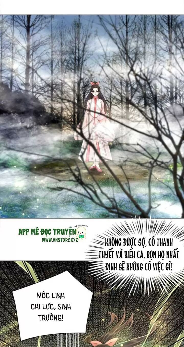 cực phẩm phế vật tiểu thư chapter 67 17