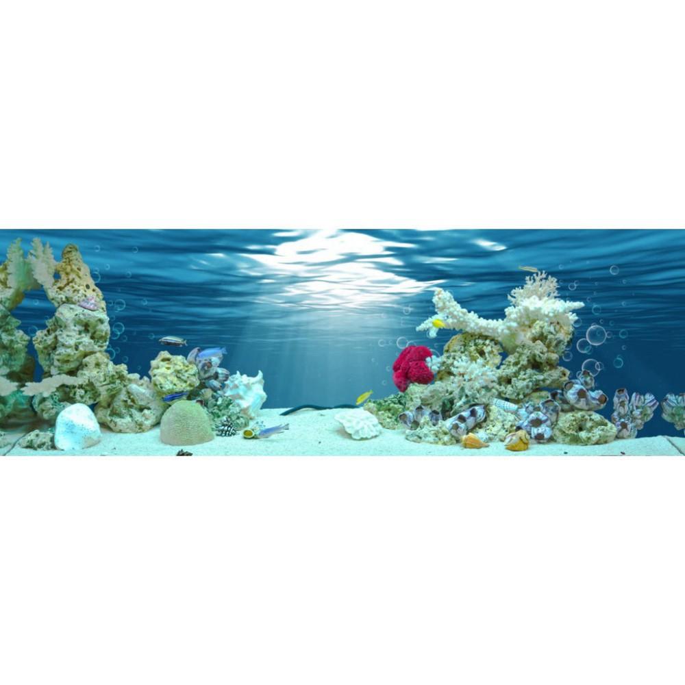 Tranh phông nền 3D dán hồ cá Aqua_040