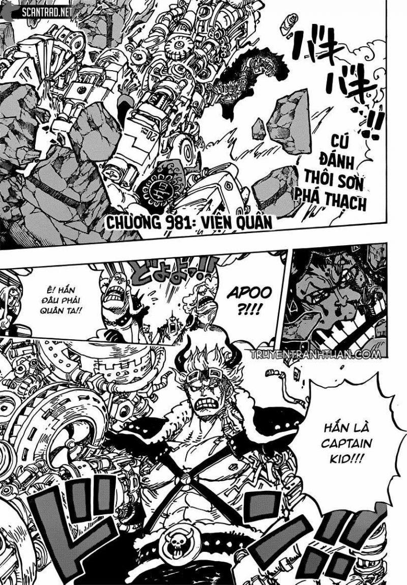 đảo hải tặc - one piece chapter 981 1