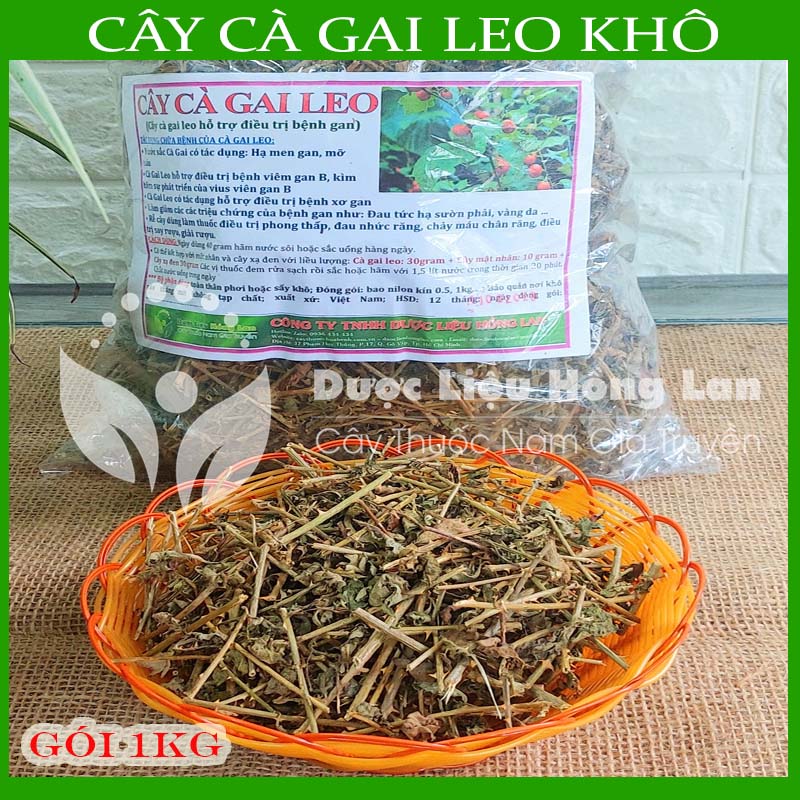 Cây CÀ GAI LEO khô sách đóng gói 1kg 