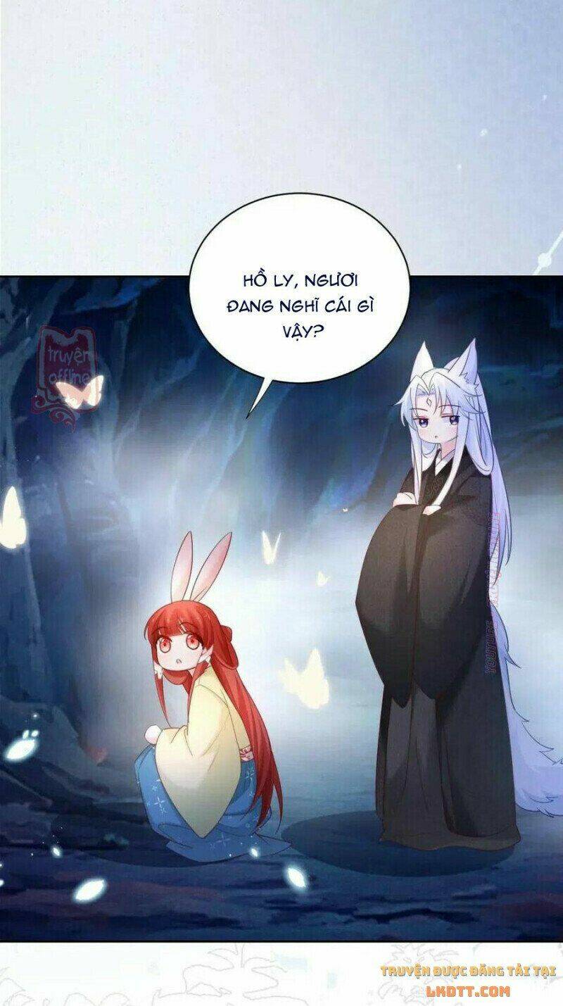 hắc hóa nam chính trực tuyến nuôi thỏ chapter 52 14