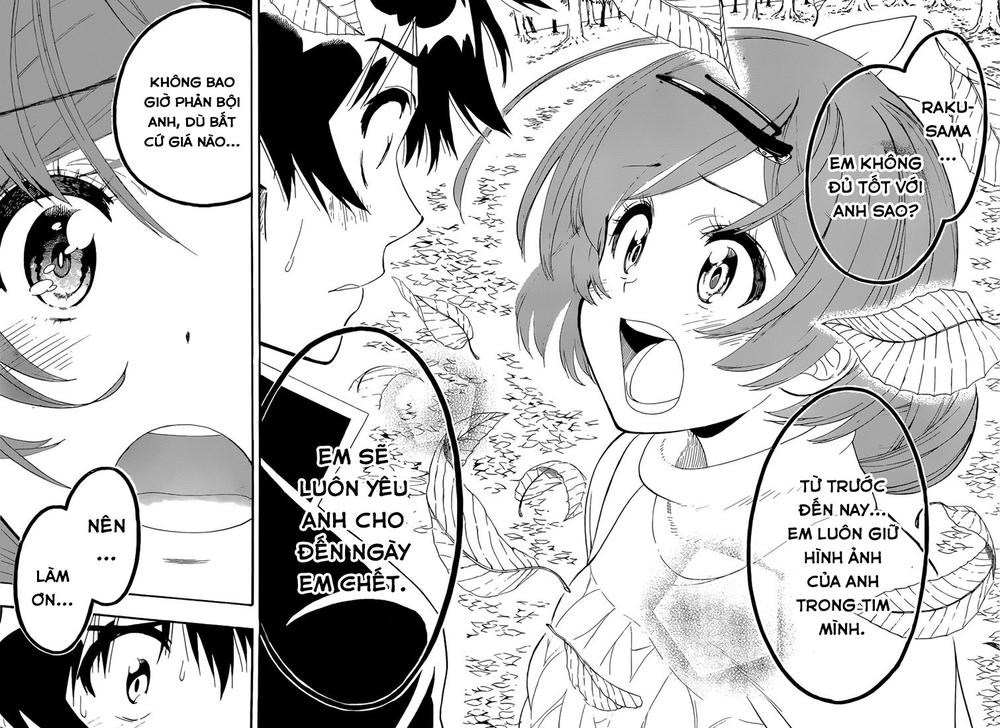 nisekoi - tình yêu giả tạo chapter 181 3