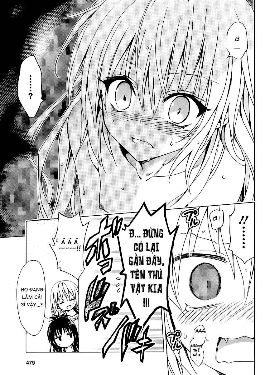 bọn tớ thích cậu! rito 2 - venus chapter 14 34