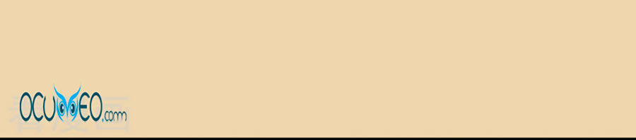 từ đây vương gia không thượng triều sớm chapter 21 11