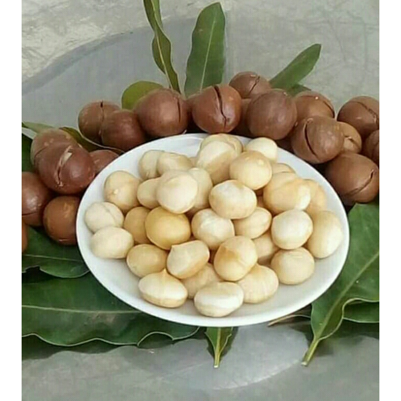 Nhân Maccadamia sấy -  Australia Maccadamia 250g