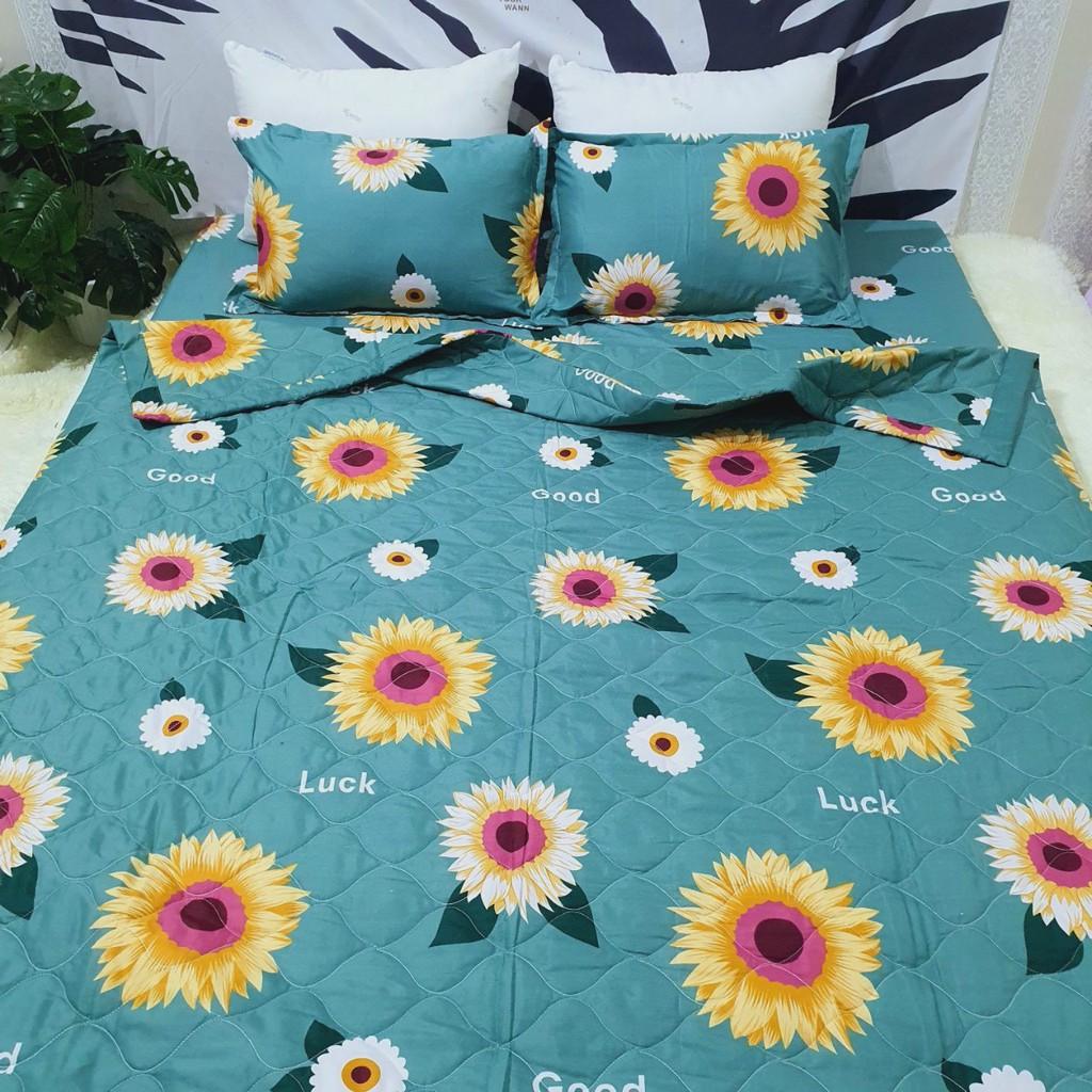 SET 4 MÓN CHĂN HÈ TRẦN BÔNG KÈM GA GỐI COTTON POLY THOÁNG MÁT, KHÔNG BÍ LƯNG MẪU HƯỚNG DƯƠNG XANH