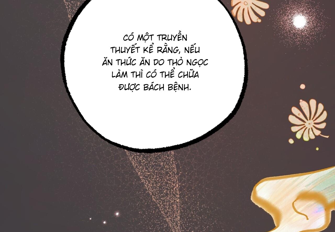 những chú thỏ của hapypy chapter 60 143